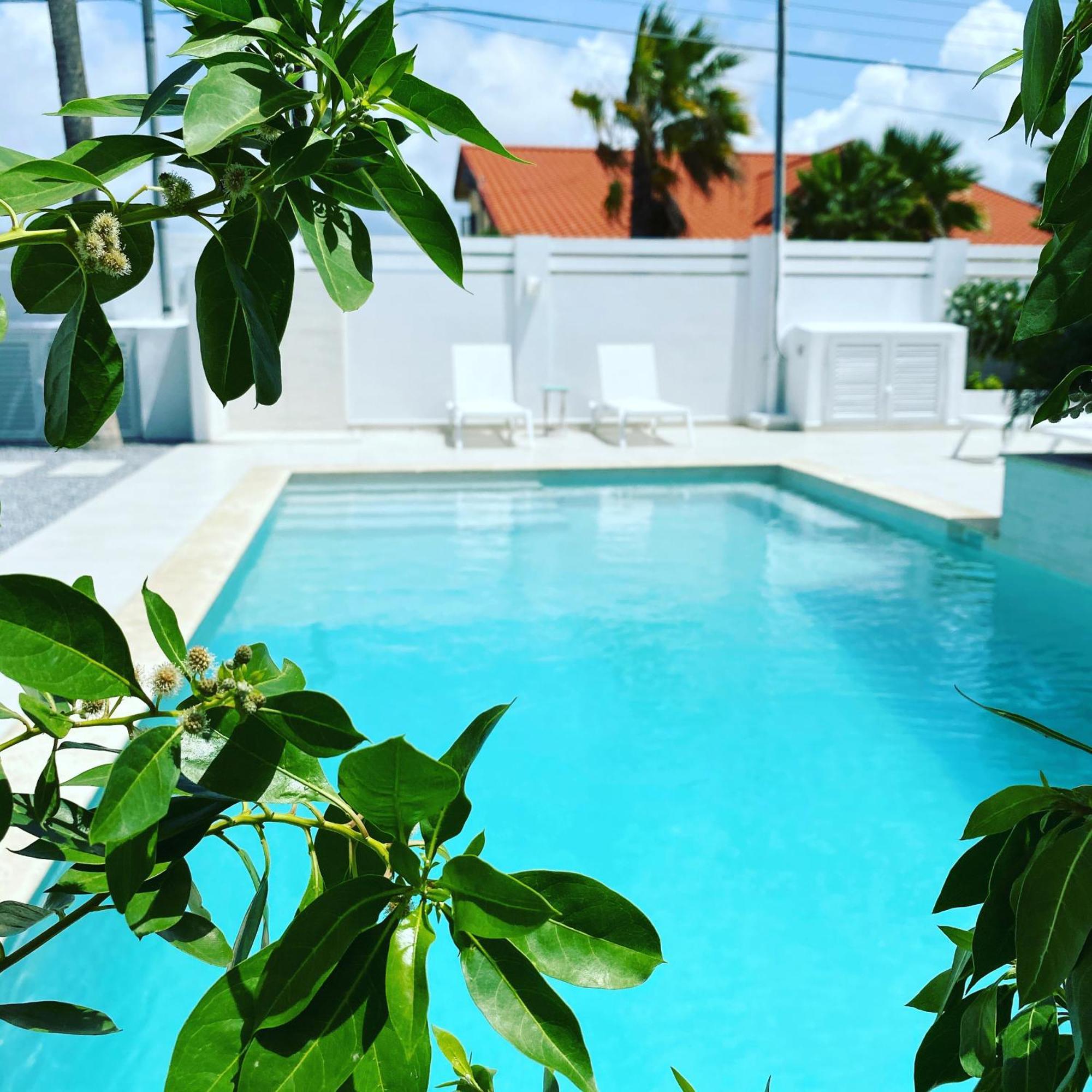 Movida Inn Aruba Palm Beach Pokój zdjęcie