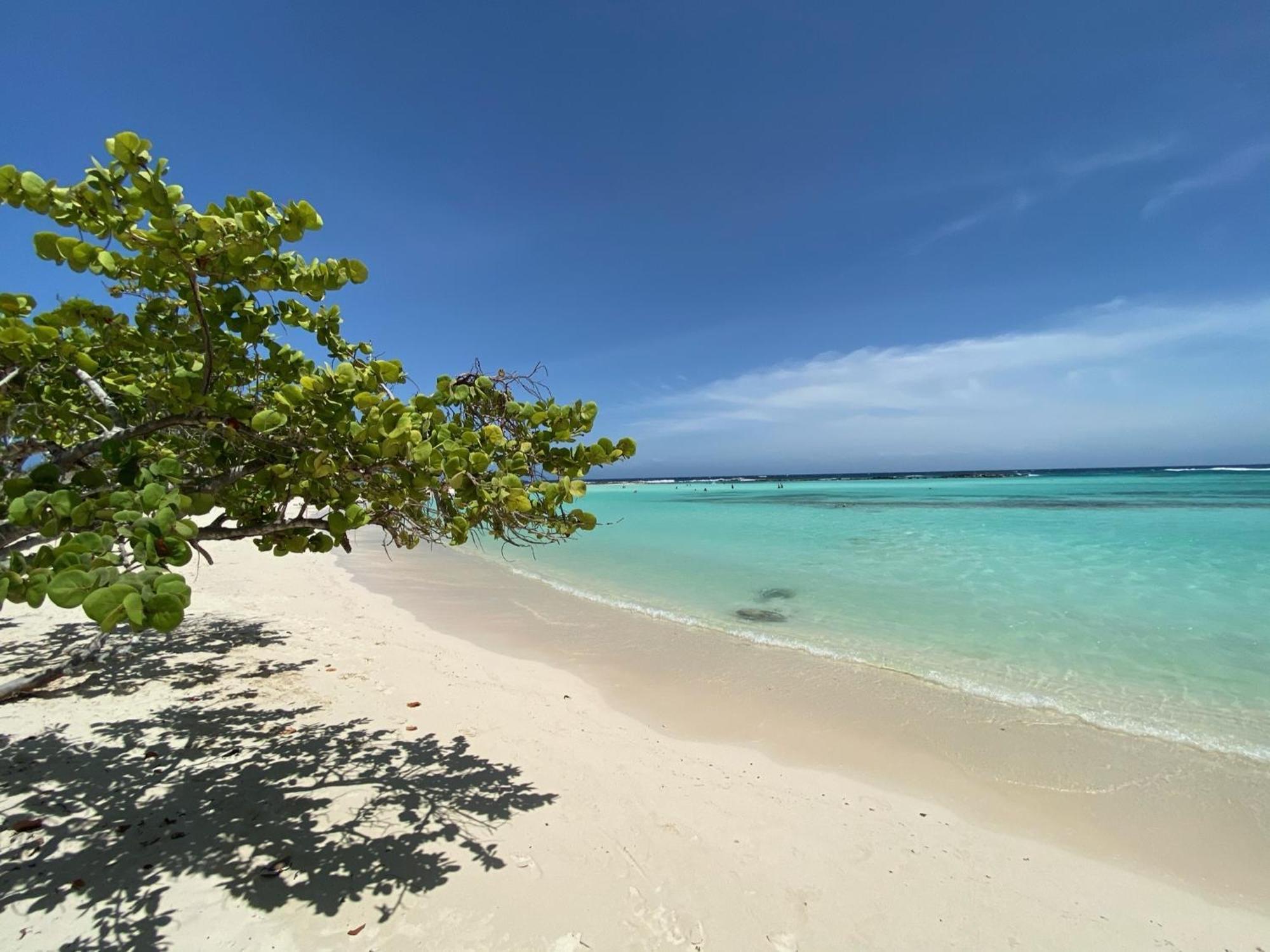 Movida Inn Aruba Palm Beach Pokój zdjęcie