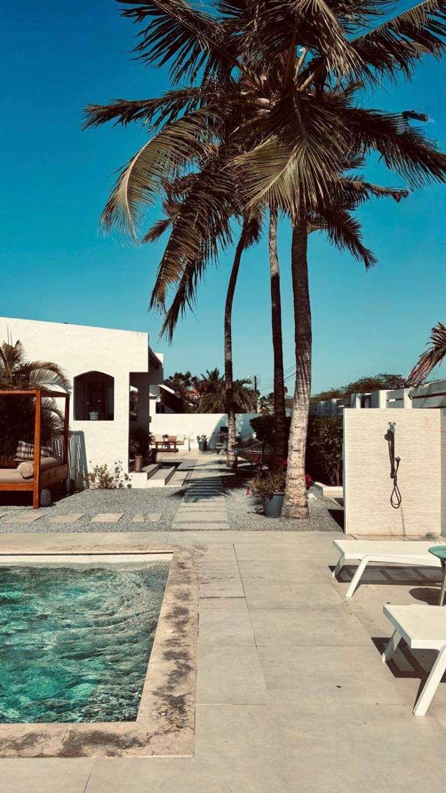 Movida Inn Aruba Palm Beach Zewnętrze zdjęcie